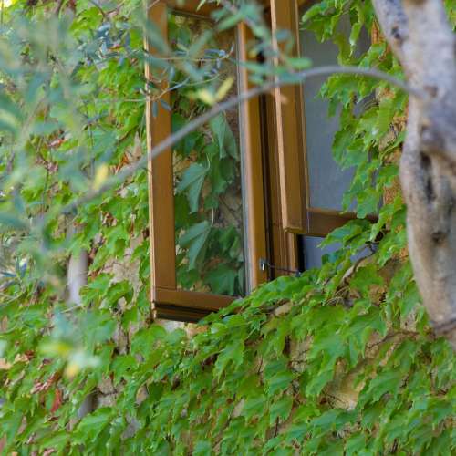 ecofriendly Hotel in Mani - Biohotel Mani Sonnenlink