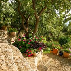 bio Hotel in Mani - Biohotel Mani Sonnenlink