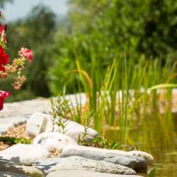 bio Hotel in Mani - Biohotel Mani Sonnenlink