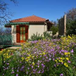 bio Hotel in Mani - Biohotel Mani Sonnenlink