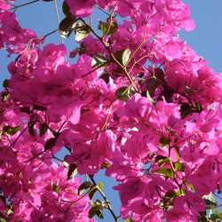 bio Hotel in Mani - Biohotel Mani Sonnenlink