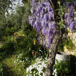 bio Hotel in Mani - Biohotel Mani Sonnenlink