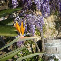 bio Hotel in Mani - Biohotel Mani Sonnenlink