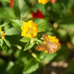 bio Hotel in Mani - Biohotel Mani Sonnenlink