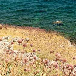 discover Mani greece -Biohotel Mani Sonnenlink