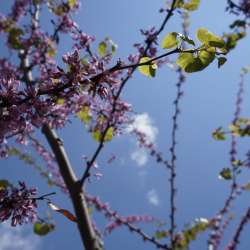 bio Hotel in Mani - Biohotel Mani Sonnenlink