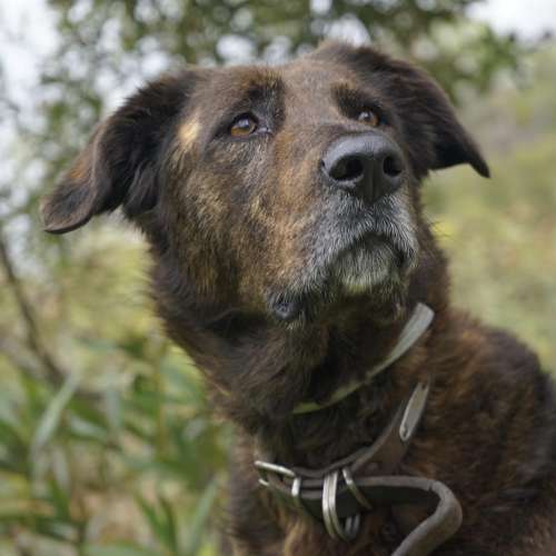 petfriendly Hotel in Mani - Biohotel Mani Sonnenlink