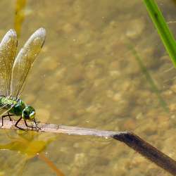 bio Hotels in Mani - Biohotel Mani Sonnenlink