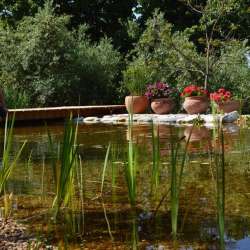 bio Hotels in Mani - Biohotel Mani Sonnenlink