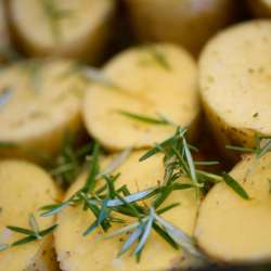 bio Hotels in Mani - Biohotel Mani Sonnenlink